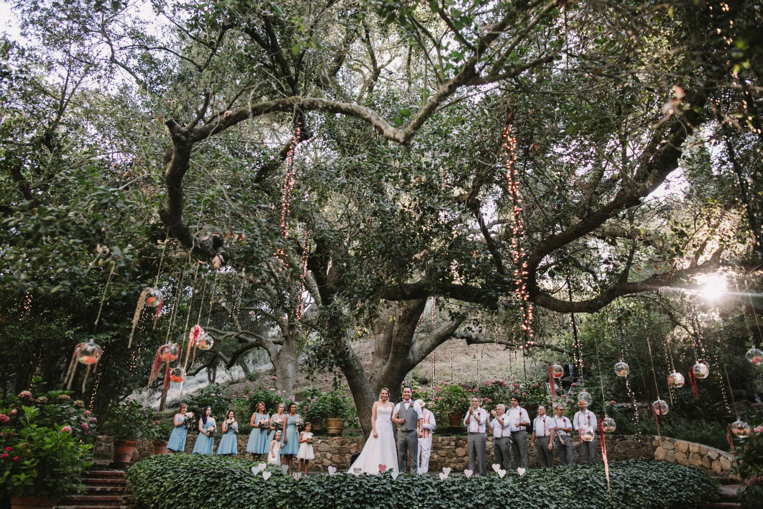 Bridal Party standing below a storybook tree
